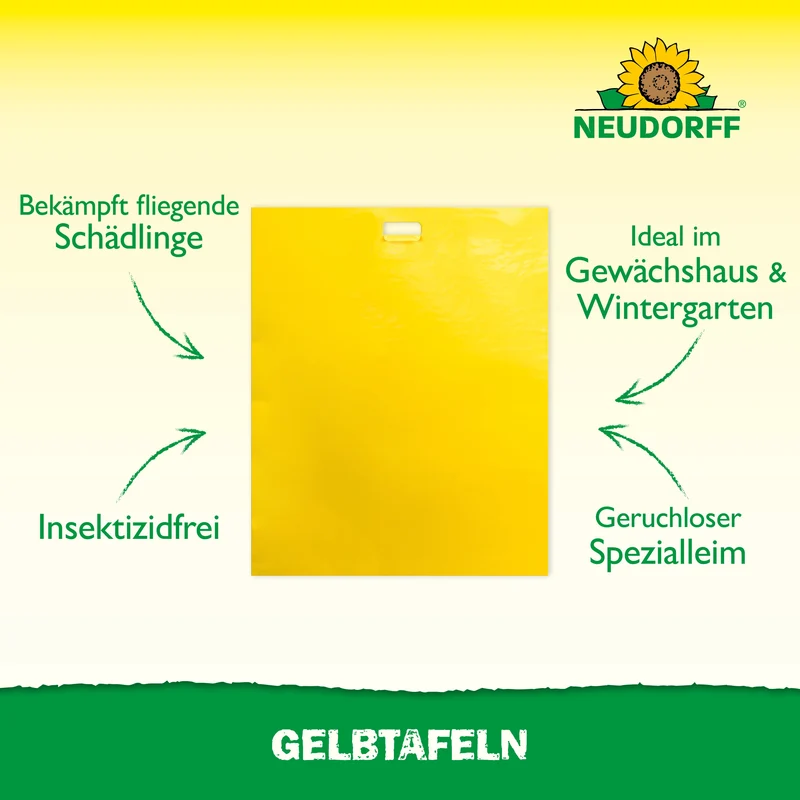 Neudorff Gelbtafeln (großformatig)