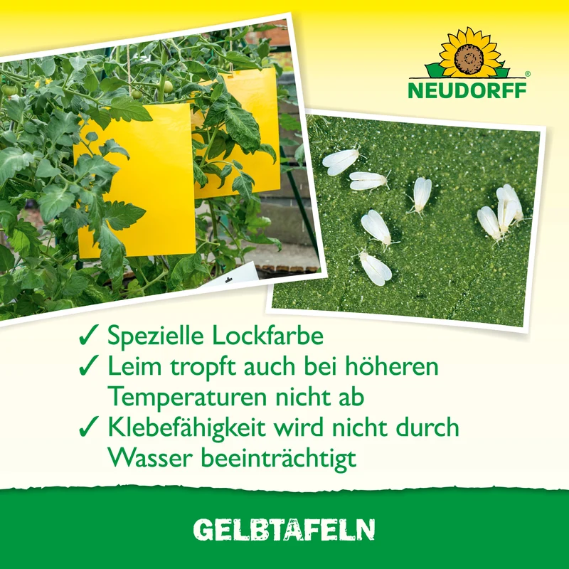 Neudorff Gelbtafeln (großformatig)