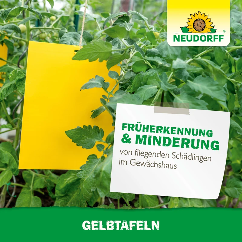 Neudorff Gelbtafeln (großformatig)