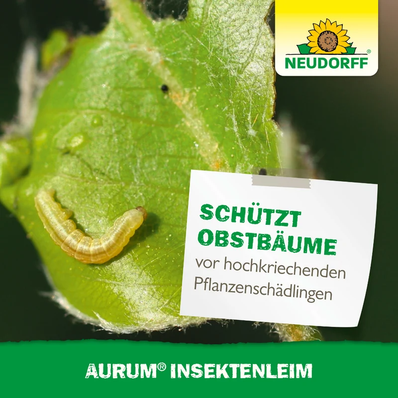 Neudorff Aurum Insekten Leim