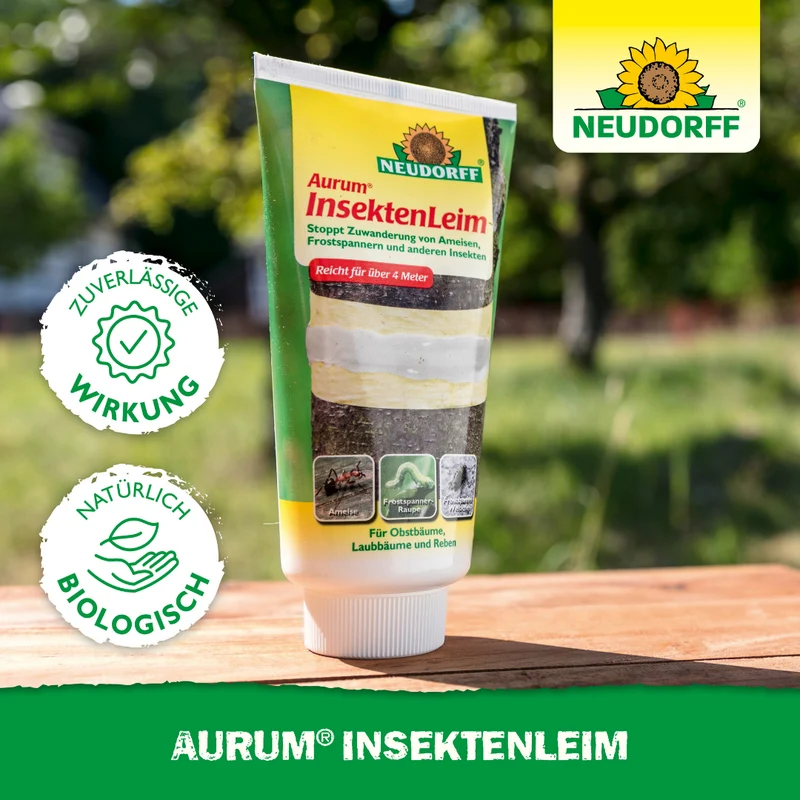 Neudorff Aurum Insekten Leim