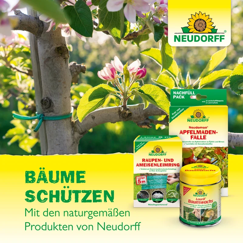 Neudorff Aurum Insekten Leim