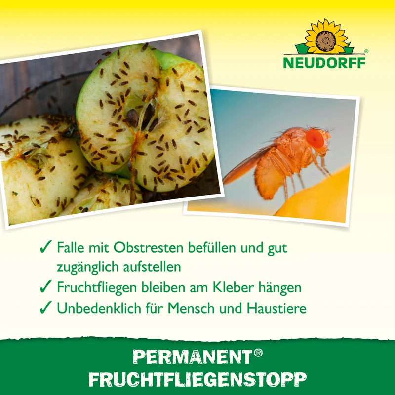 Neudorff Permanent FruchtfliegenStopp