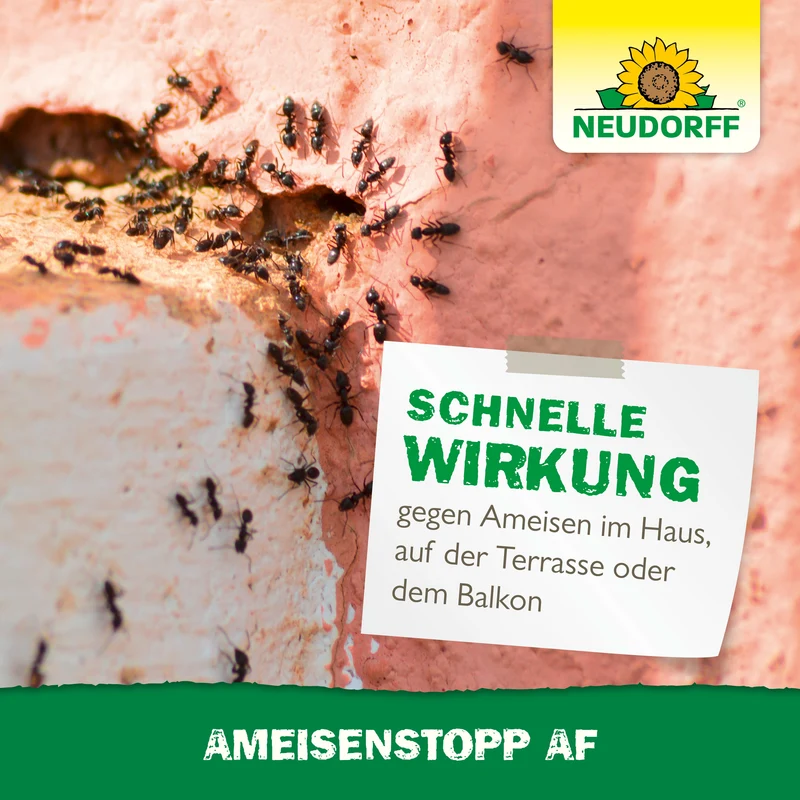 Neudorff AmeisenStopp AF
