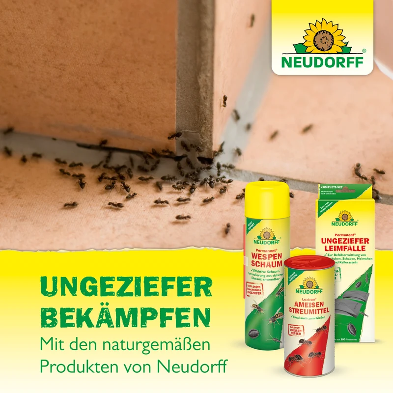 Neudorff Permanent BettwanzenSpray