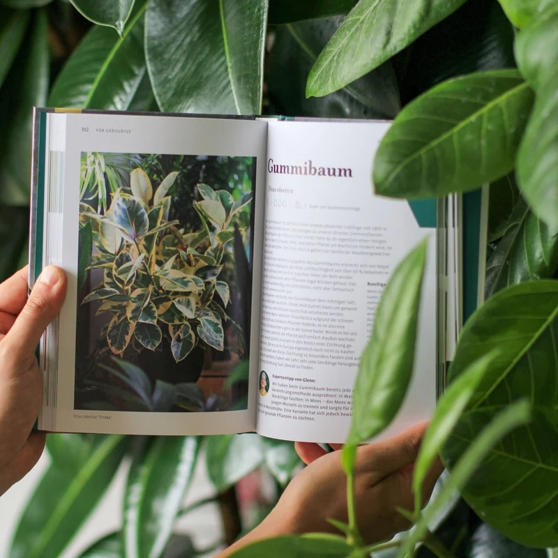 BUCH - GROW YOUR JUNGLE