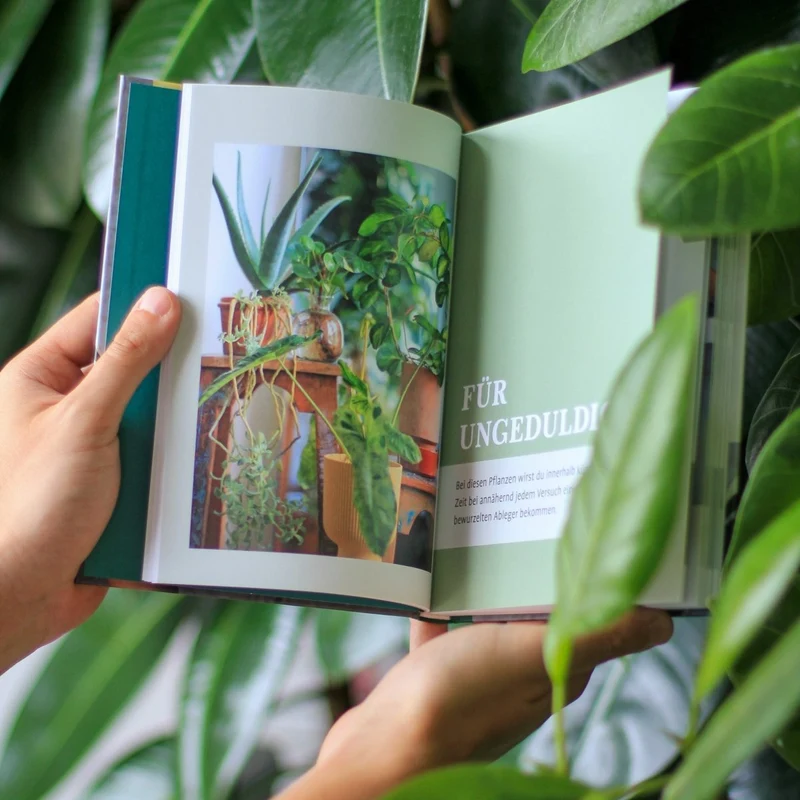BUCH - GROW YOUR JUNGLE