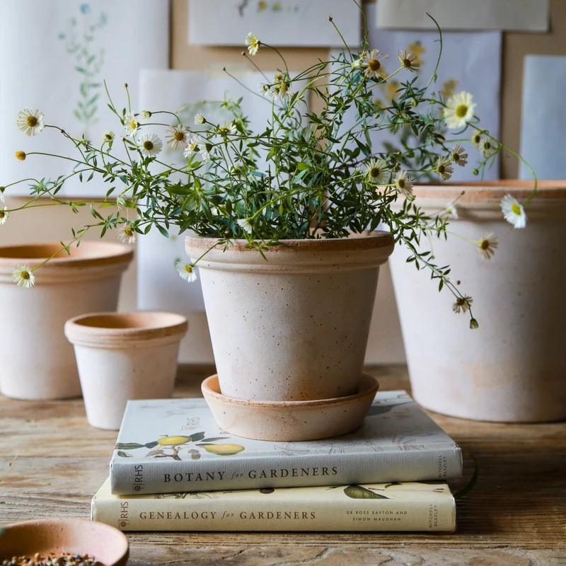 ÜBERTOPF BERGS FLORA