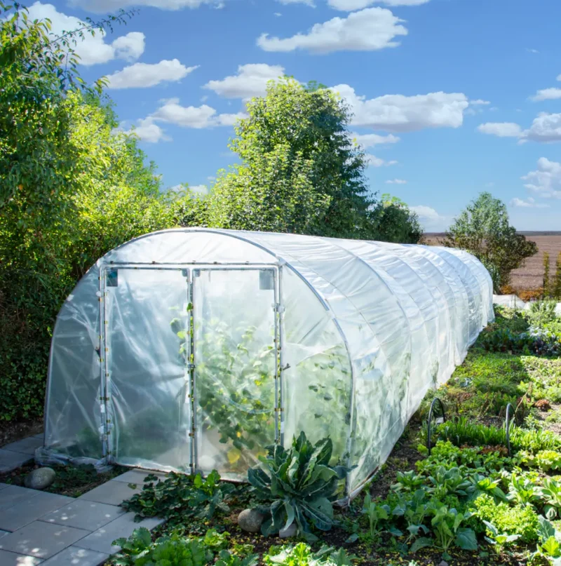 RÖMI® Folientunnel 3,50 M X 6,0 M oder 8,0 M