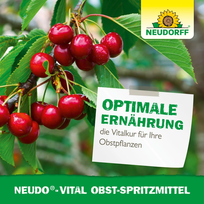 Neudorff Neudo-Vital Obst-Spritzmittel