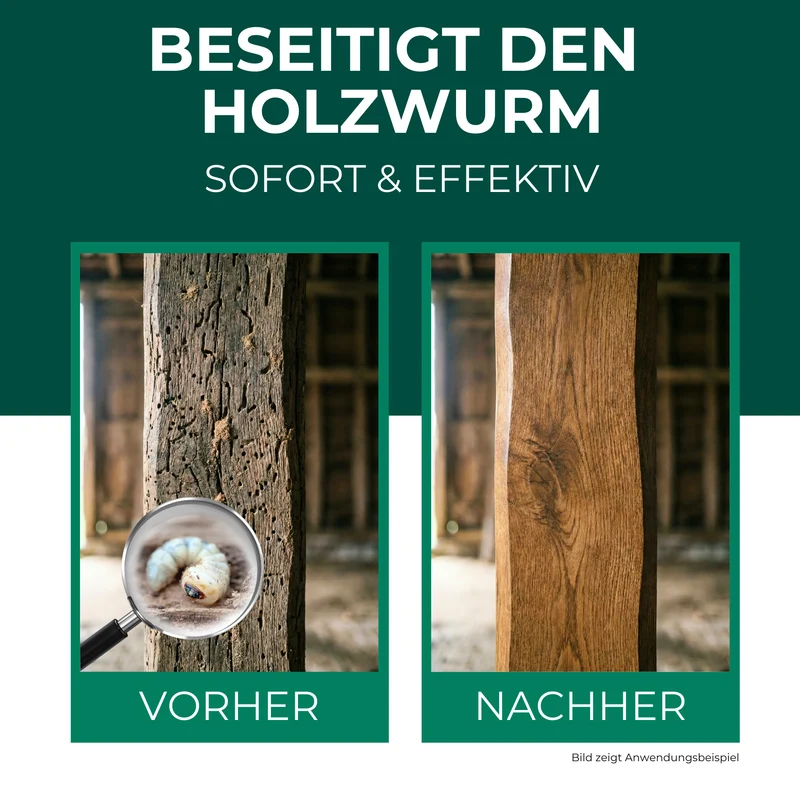 Holzwurm Spray: Holzwurmmittel gegen Holzwürmer, Holzbock & Nagekäfer für Innen & Außen inkl. E-Book