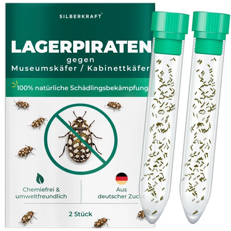 Lagerpiraten gegen Museumskäfer / Kabinettkäfer (Raubwanze Xylocoris Xylocoris flavipes)
