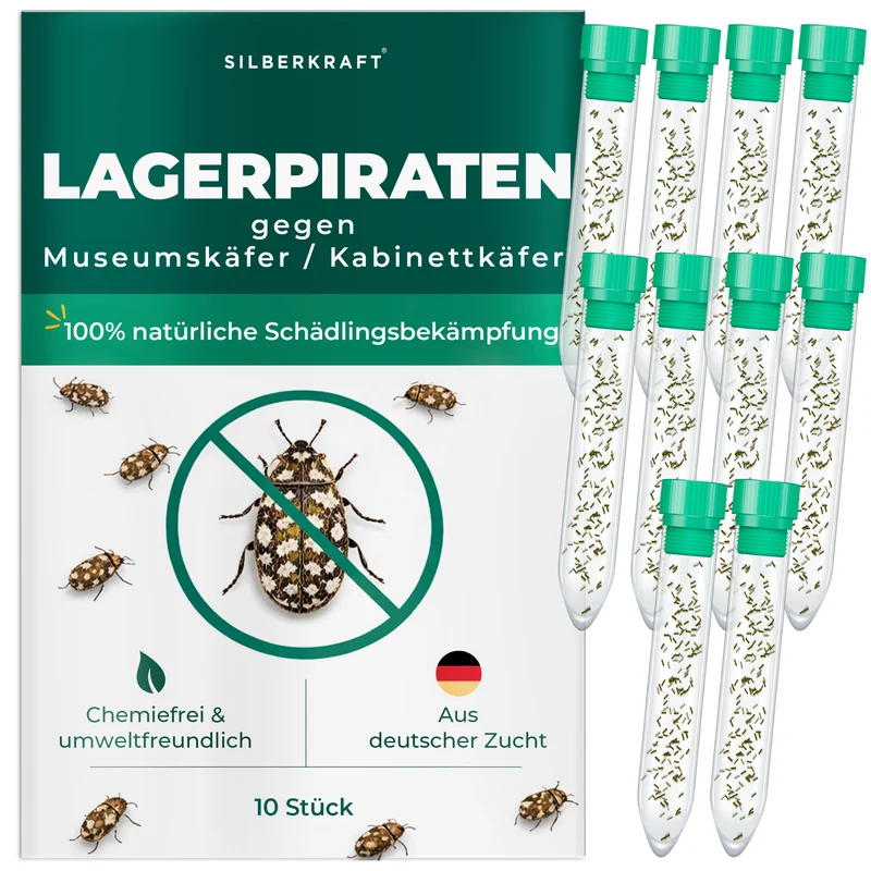 Lagerpiraten gegen Museumskäfer / Kabinettkäfer (Raubwanze Xylocoris Xylocoris flavipes)
