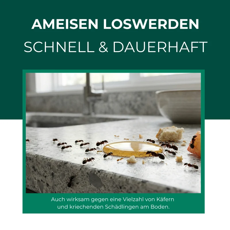 Ameisenfalle – Universal-Klebefalle mit Lockstoff
