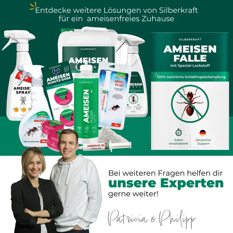 Ameisenfalle – Universal-Klebefalle mit Lockstoff