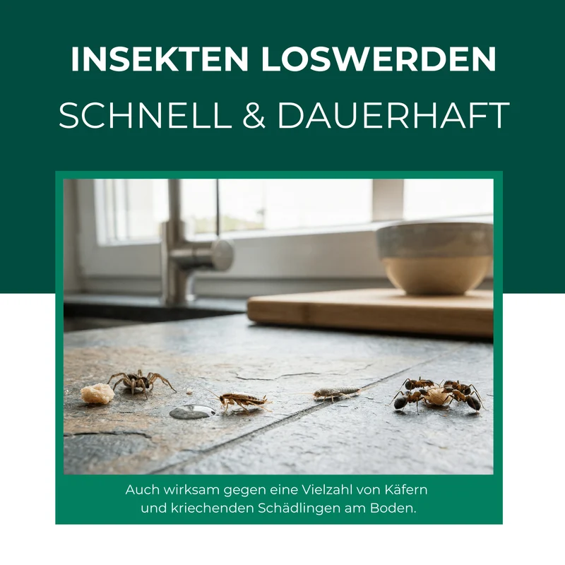 Ungeziefer/ Insektenfalle – Universal-Klebefalle mit Lockstoff