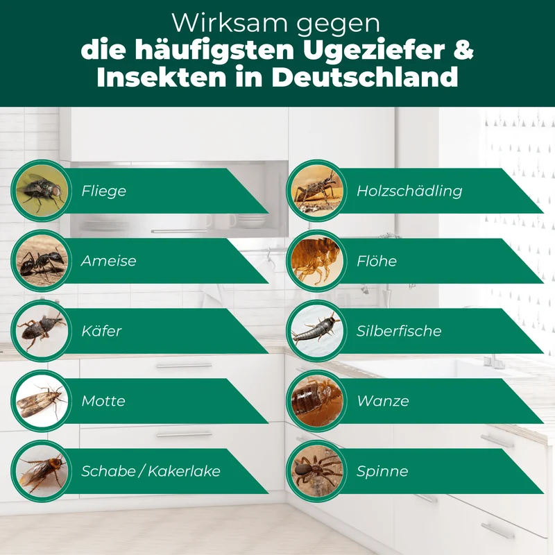 Ungeziefer/ Insektenfalle – Universal-Klebefalle mit Lockstoff
