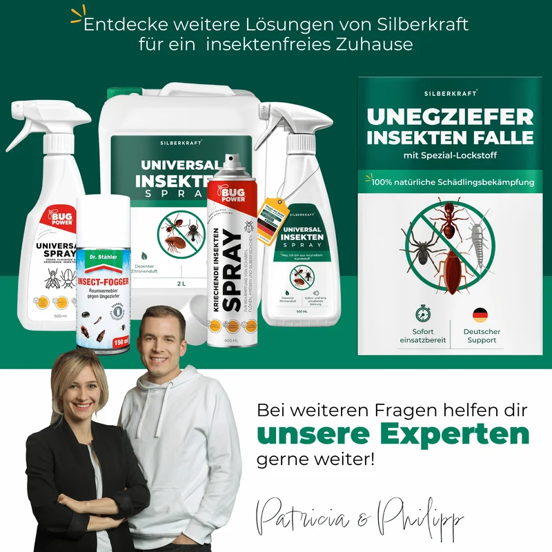 Ungeziefer/ Insektenfalle – Universal-Klebefalle mit Lockstoff