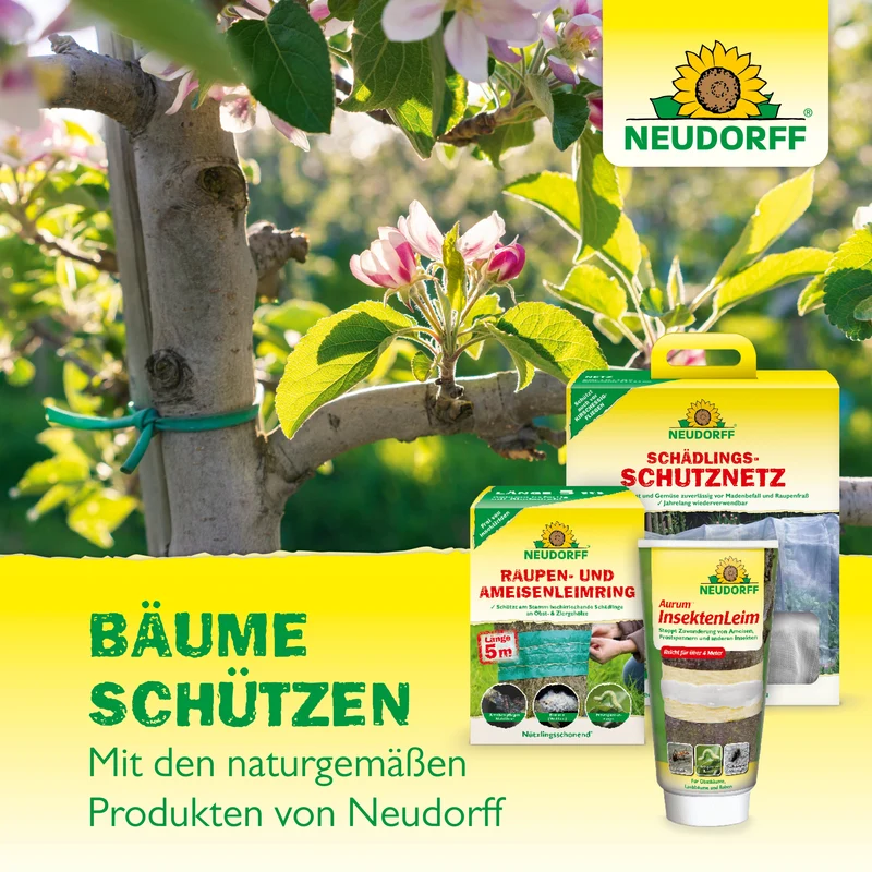 Neudorff Baumanstrich