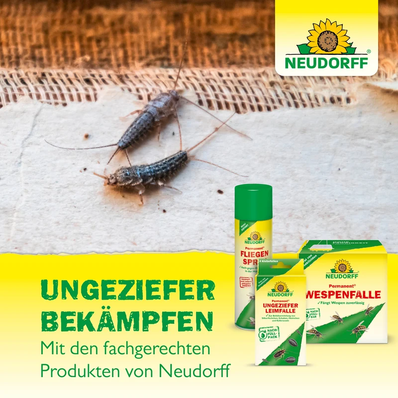 Neudorff Permanent FliegenFalle