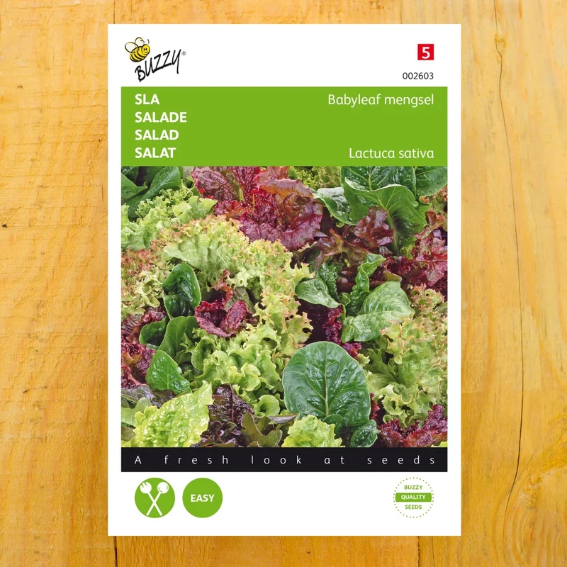 Salat Babyleaf Mischung