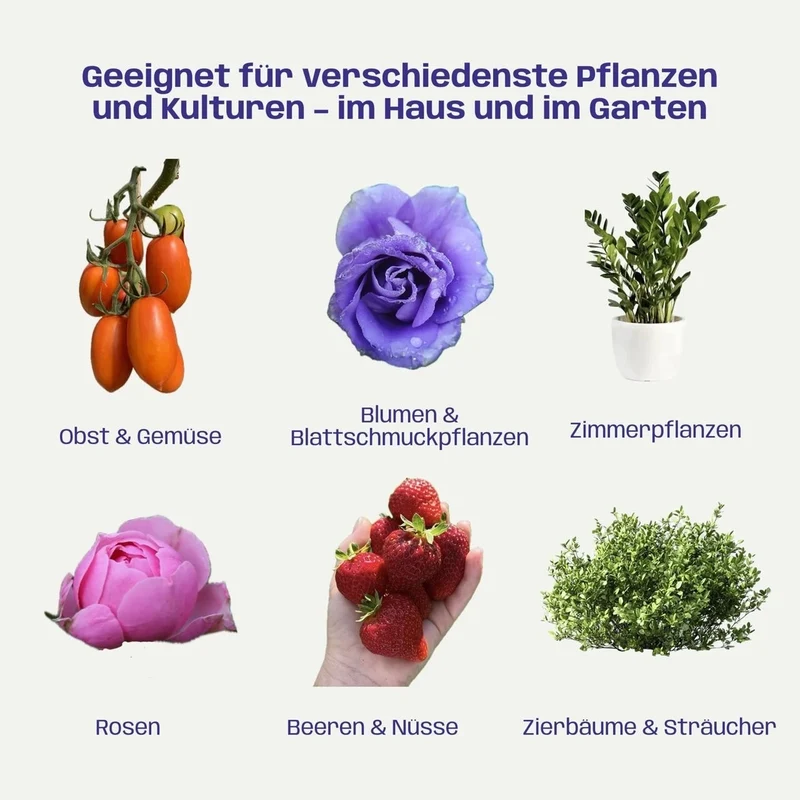 Bio Plant Health Kit