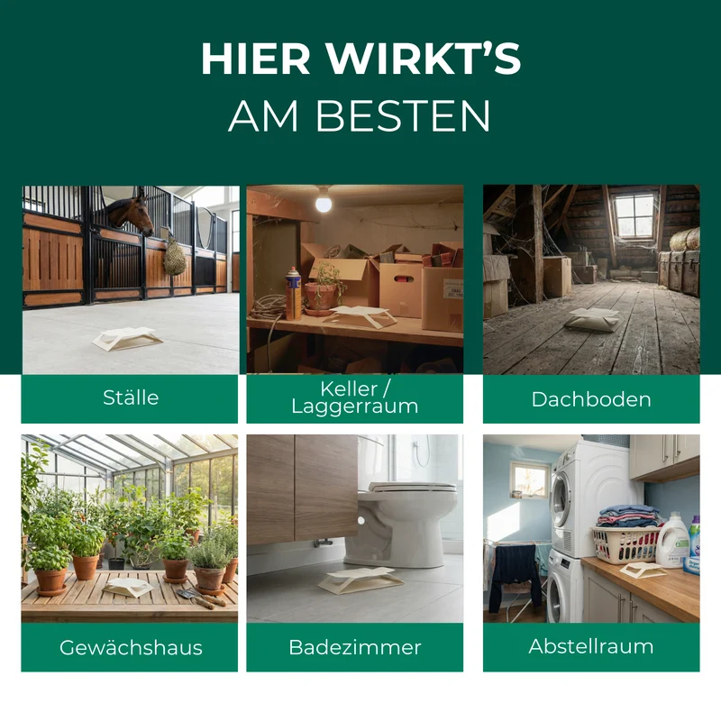 Kellerasselnfalle – Universal-Klebefalle mit Lockstoff