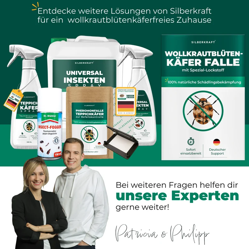 Wollkrautblütenkäferfalle – Universal-Klebefalle mit Lockstoff