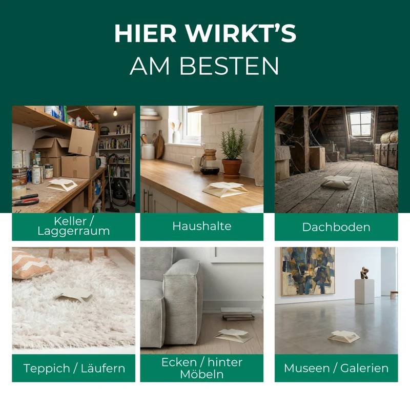 Wollkrautblütenkäferfalle – Universal-Klebefalle mit Lockstoff