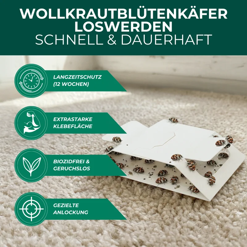 Wollkrautblütenkäferfalle – Universal-Klebefalle mit Lockstoff