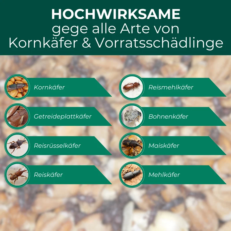 Kornkäferfalle – Universal-Klebefalle mit Lockstoff