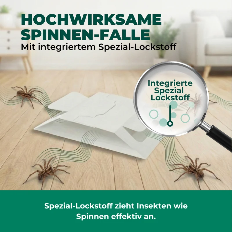 Spinnenfalle – Universal-Klebefalle mit Lockstoff