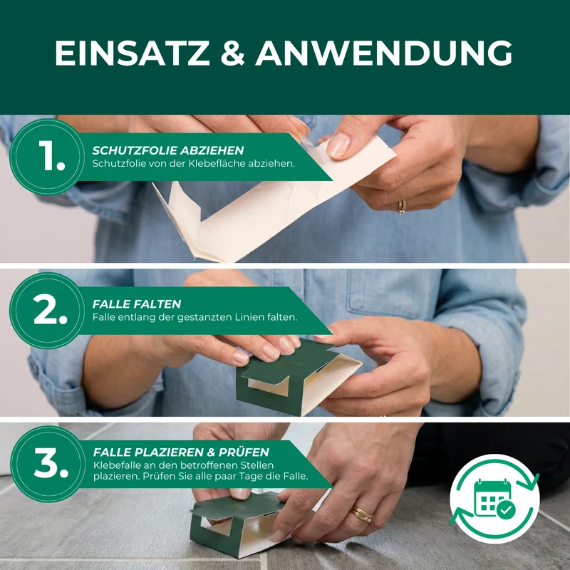 Spinnenfalle – Universal-Klebefalle mit Lockstoff