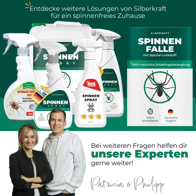 Spinnenfalle – Universal-Klebefalle mit Lockstoff