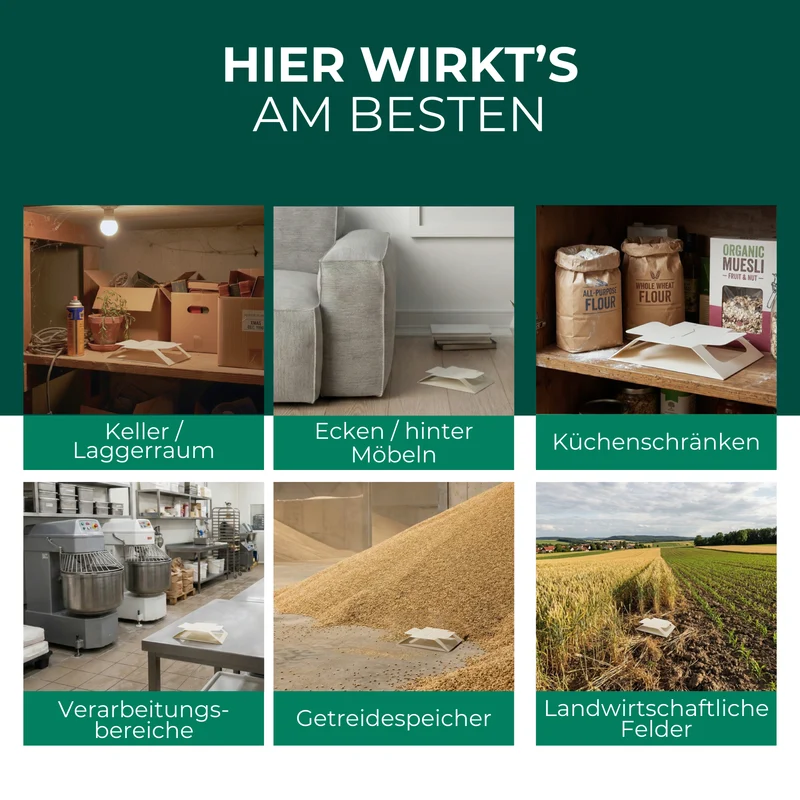 Käferfalle gegen diverse Käfer – Universal-Klebefalle mit Lockstoff