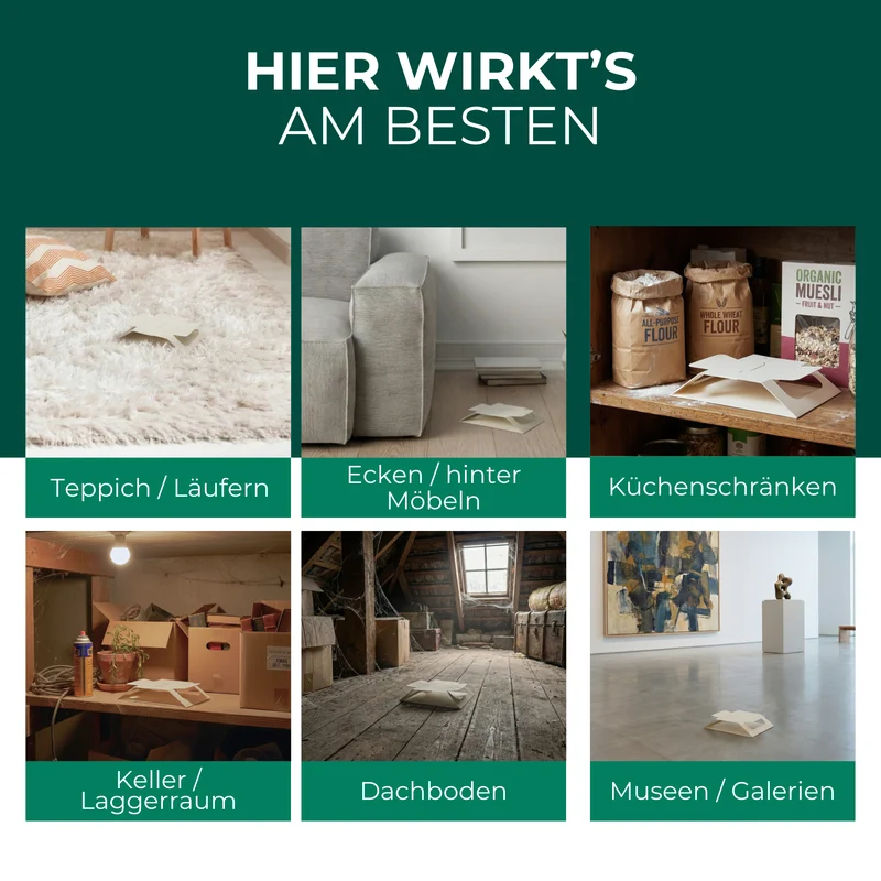 Teppichkäferfalle – Universal-Klebefalle mit Lockstoff