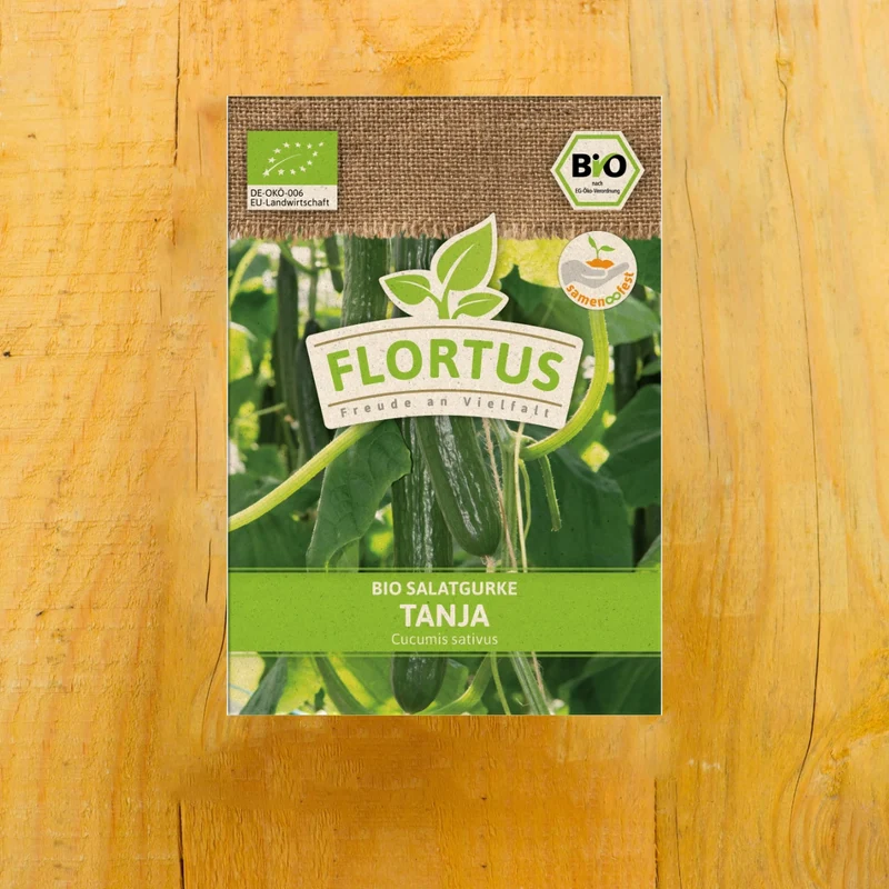Bio Salatgurke Tanja 50 Korn