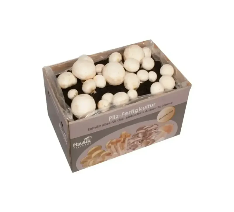 Weiße Champignons Set