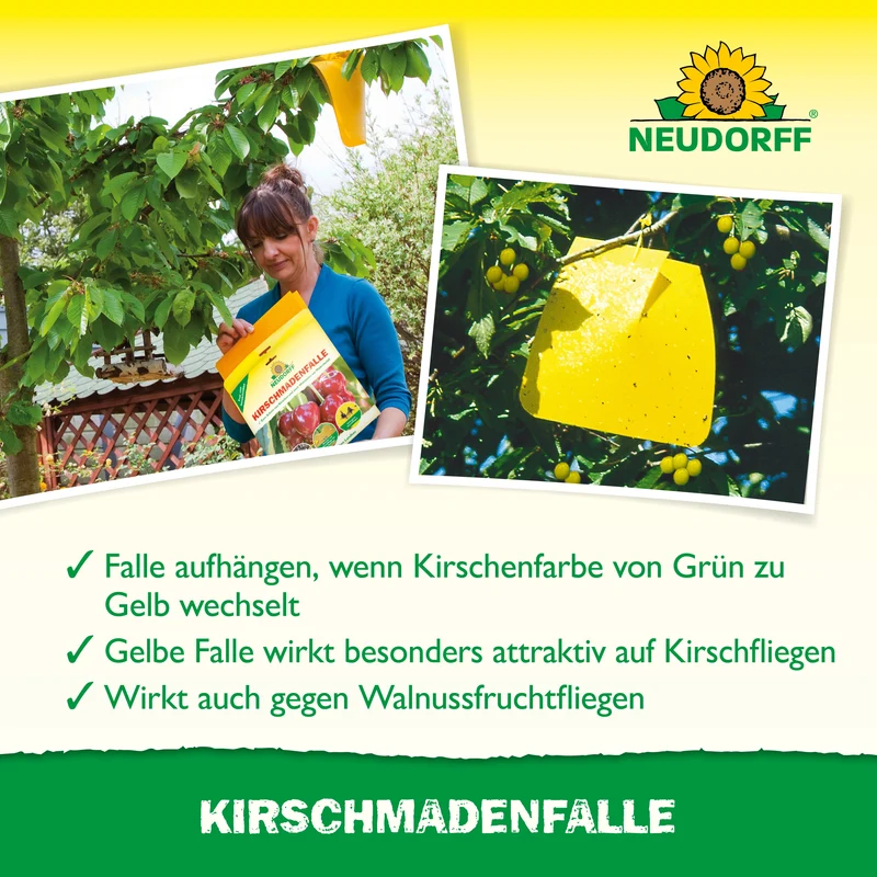Neudorff KirschmadenFalle