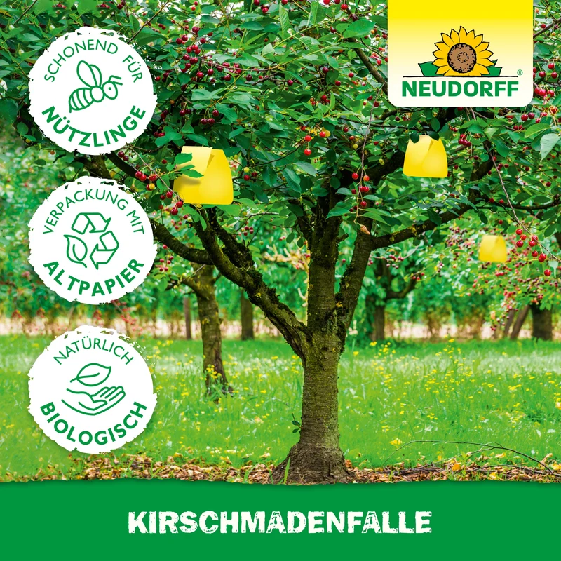 Neudorff KirschmadenFalle