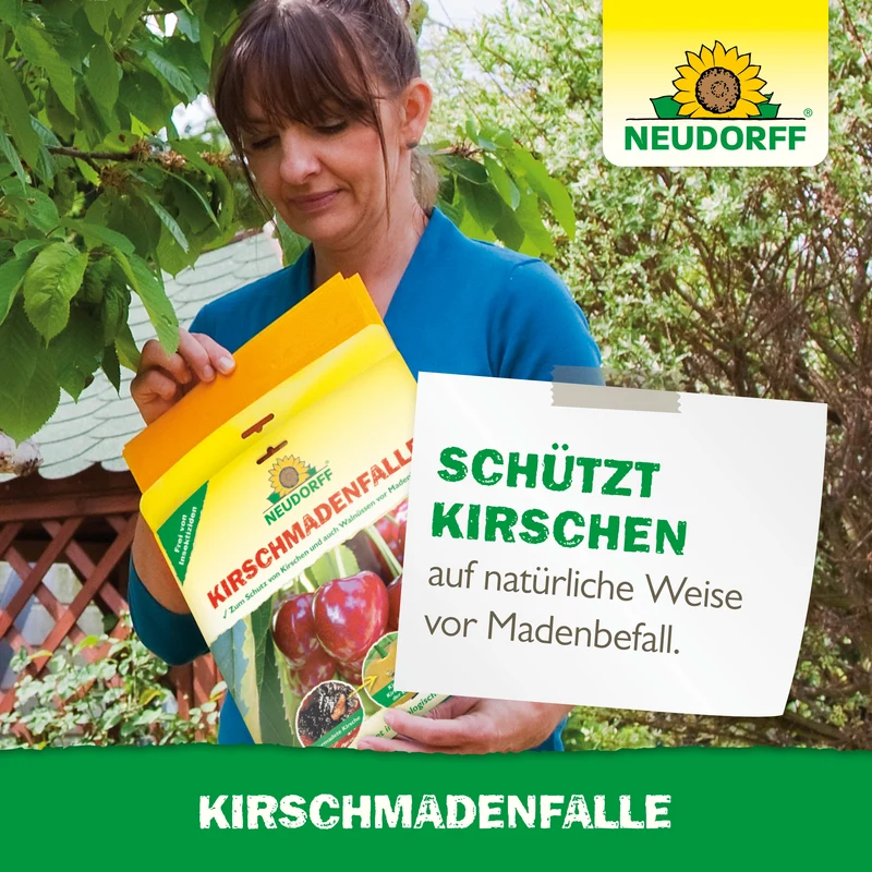 Neudorff KirschmadenFalle