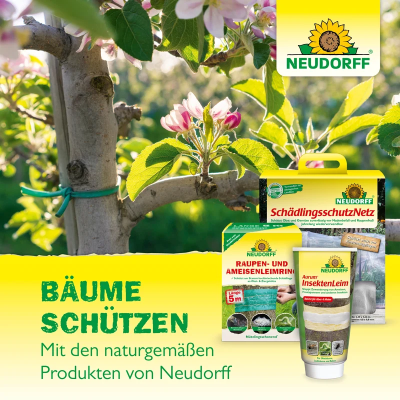 Neudorff KirschmadenFalle