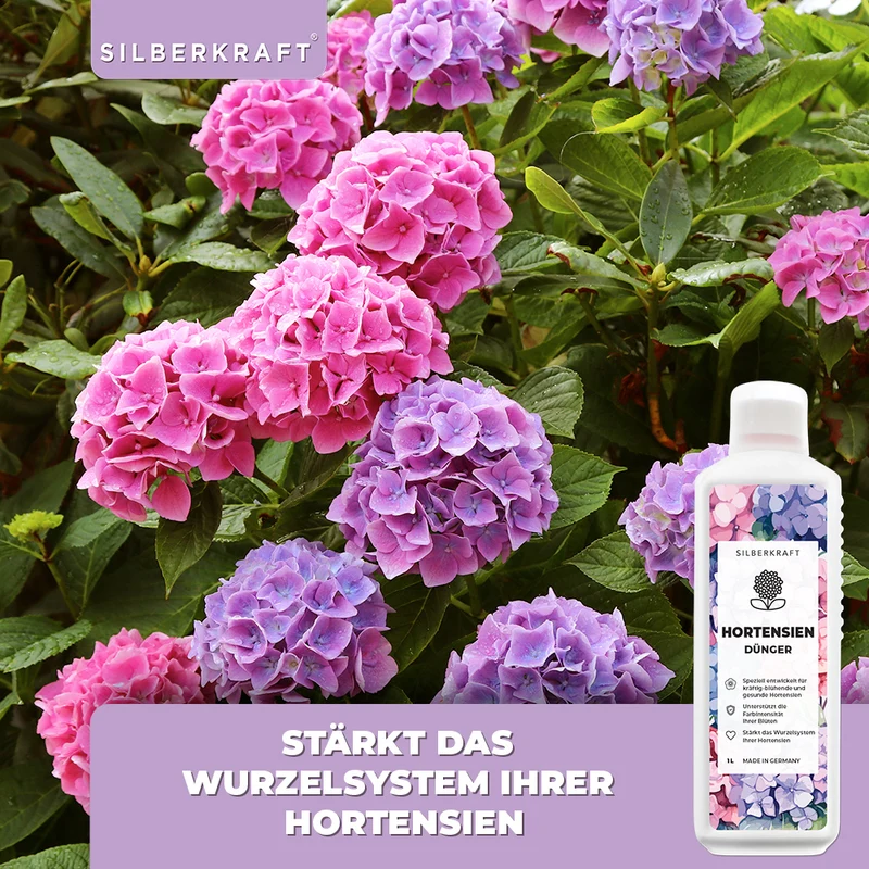 Hortensien Dünger - Mineralischer NPK Flüssigdünger mit Stickstoff - Dünger für Hortensien - Hydrangea macrophylla Dünger