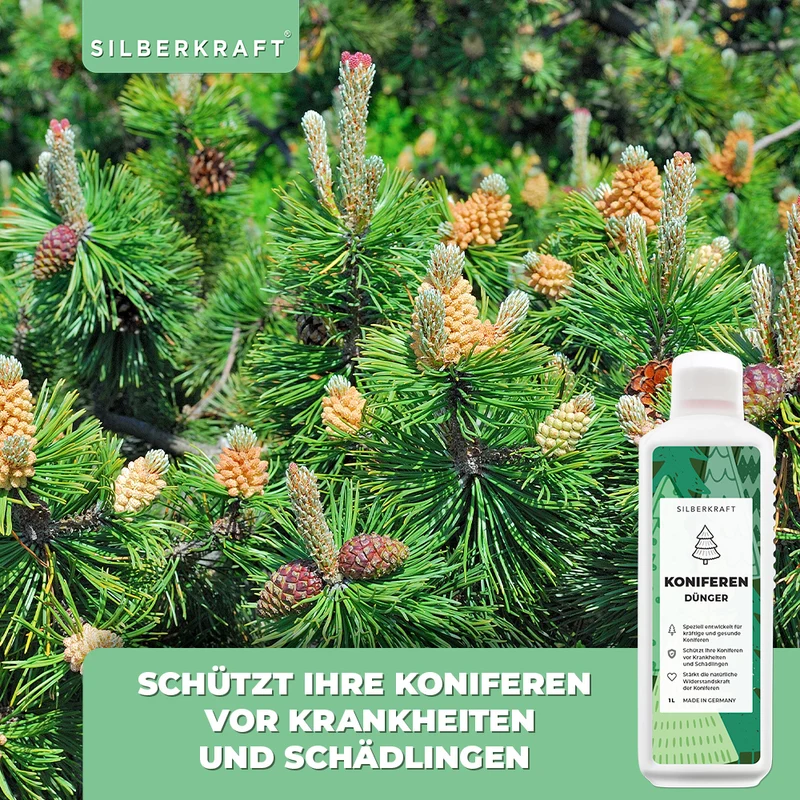 Koniferen Dünger - Mineralischer NPK Flüssigdünger mit Stickstoff - Dünger für Koniferen - Thuja düngen