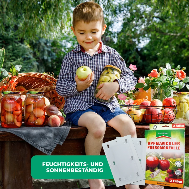 Apfelwickler Pheromonfalle: Effektiver Schutz für Obstbäume