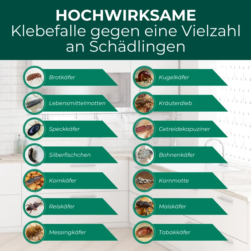 Kakerlaken/Schaben Falle – Universal-Klebefalle mit Lockstoff