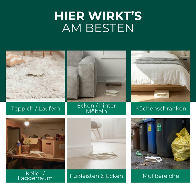 Bettwanzenfalle – Universal-Klebefalle mit Lockstoff