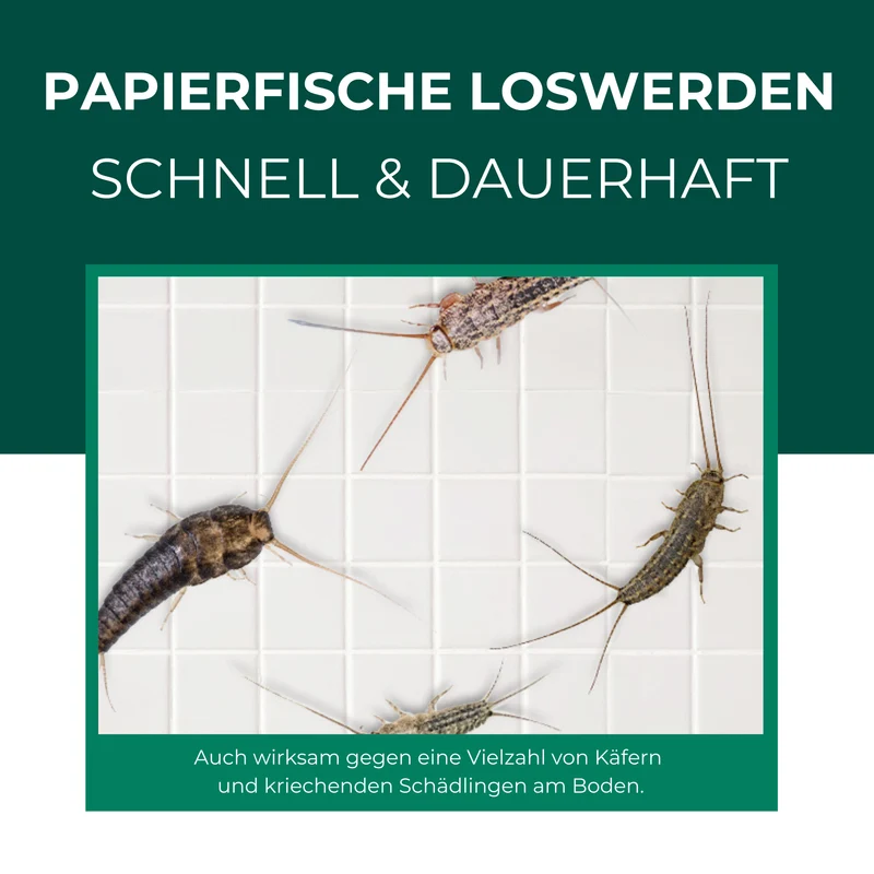 Papierfischfalle – Universal-Klebefalle mit Lockstoff
