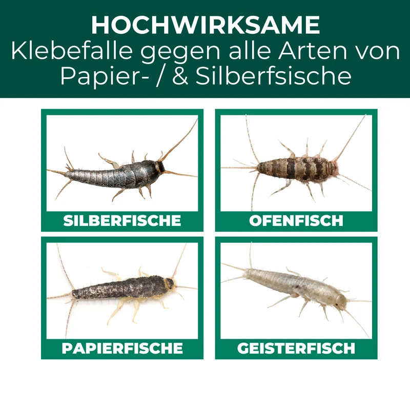 Papierfischfalle – Universal-Klebefalle mit Lockstoff