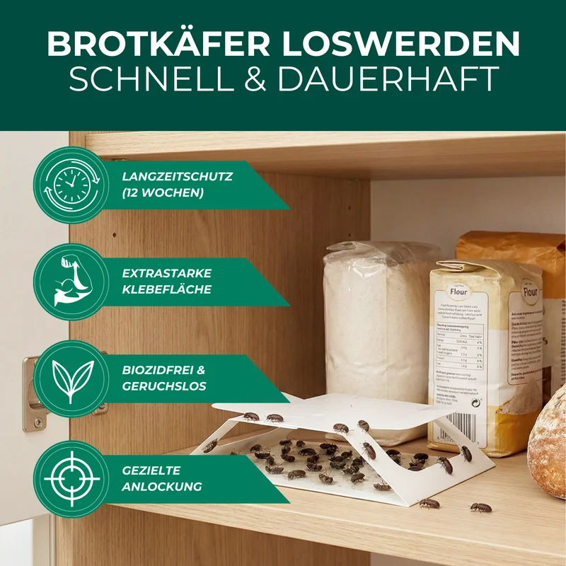 Brotkäferfalle – Universal-Klebefalle mit Lockstoff